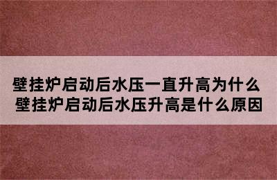 壁挂炉启动后水压一直升高为什么 壁挂炉启动后水压升高是什么原因